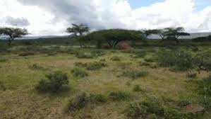 Prime 50 by 100 plots Maiyan estate-Kedong along Ngong-Suswa Highway -KES 750,000